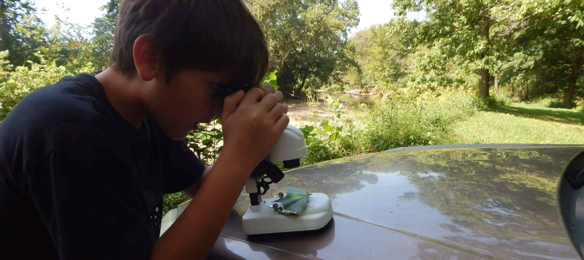 Young boy with dark shirt looking at leaves through a microscope