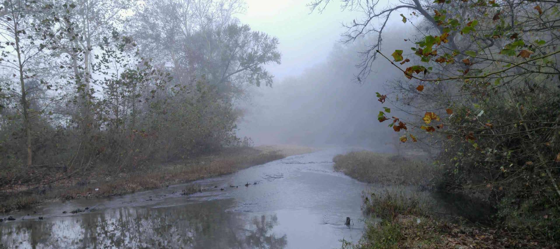 Small stream surrounded by bushes and trees with green, red, and yellow leaves and dense fog